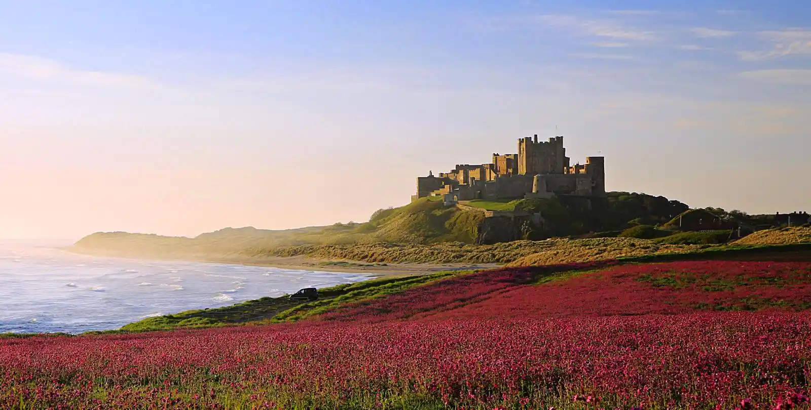Kvetoucí pobřeží a silueta Bamburgh Castle tvoří ikonickou scenérii Northumberlandu.